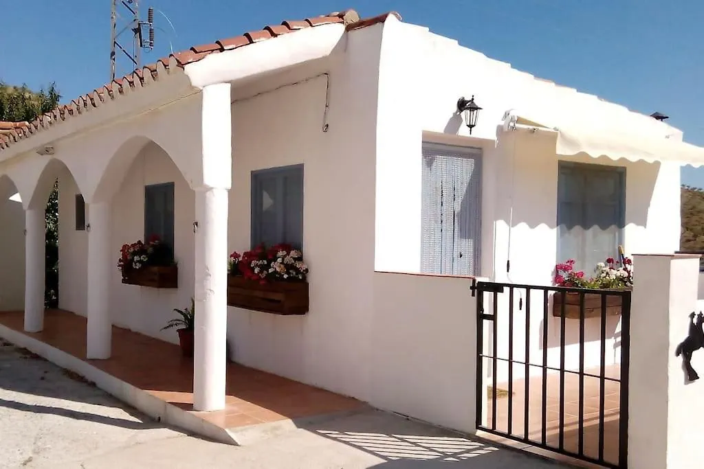 The Vine Studio Rubite  Spain