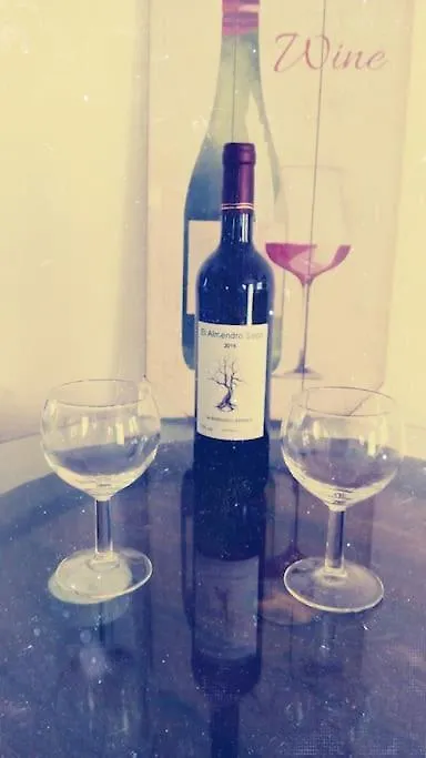 The Vine Studio Rubite  Spain