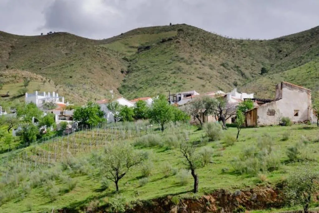 The Vine Studio Rubite  Rubite (Granada)